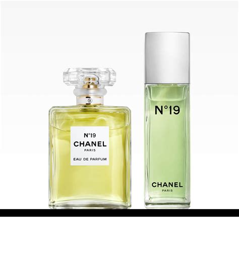 chanel 19 perfume|is Chanel 19 discontinued.